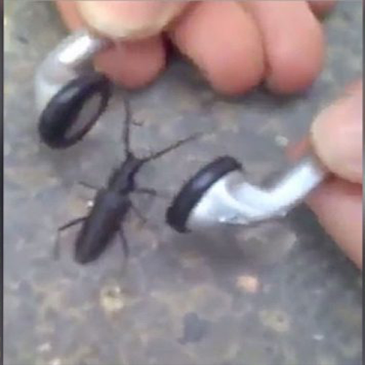 dj g2g & JOÃO LÁGRIMA DE OURO - BREATHE MY SATISFACTION